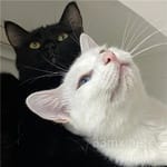 Avatar de Florencia Armenta